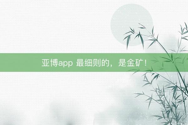 亚博app 最细则的，是金矿！